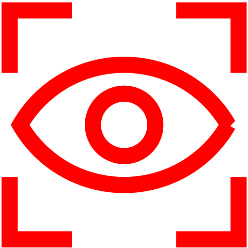 Vision
